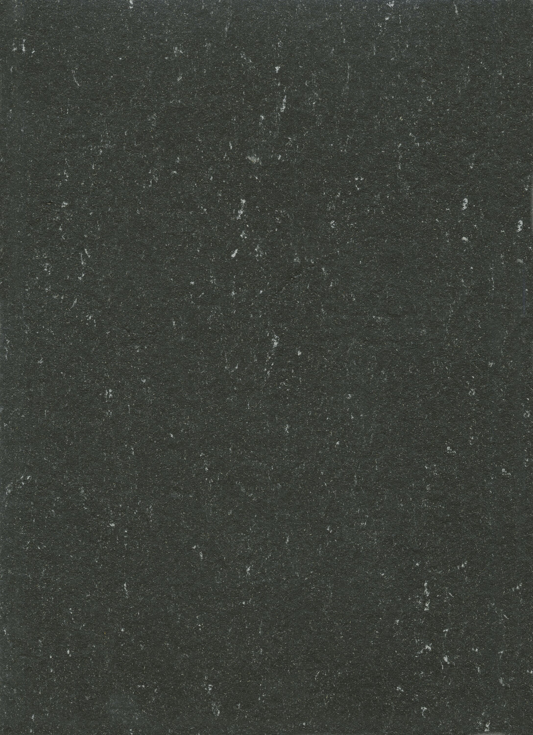 0081 PRIVATE BLACK