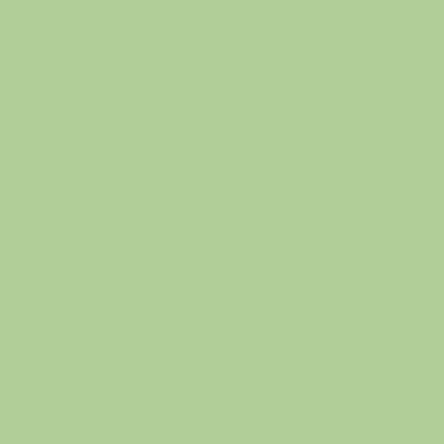 0016 KIWI
