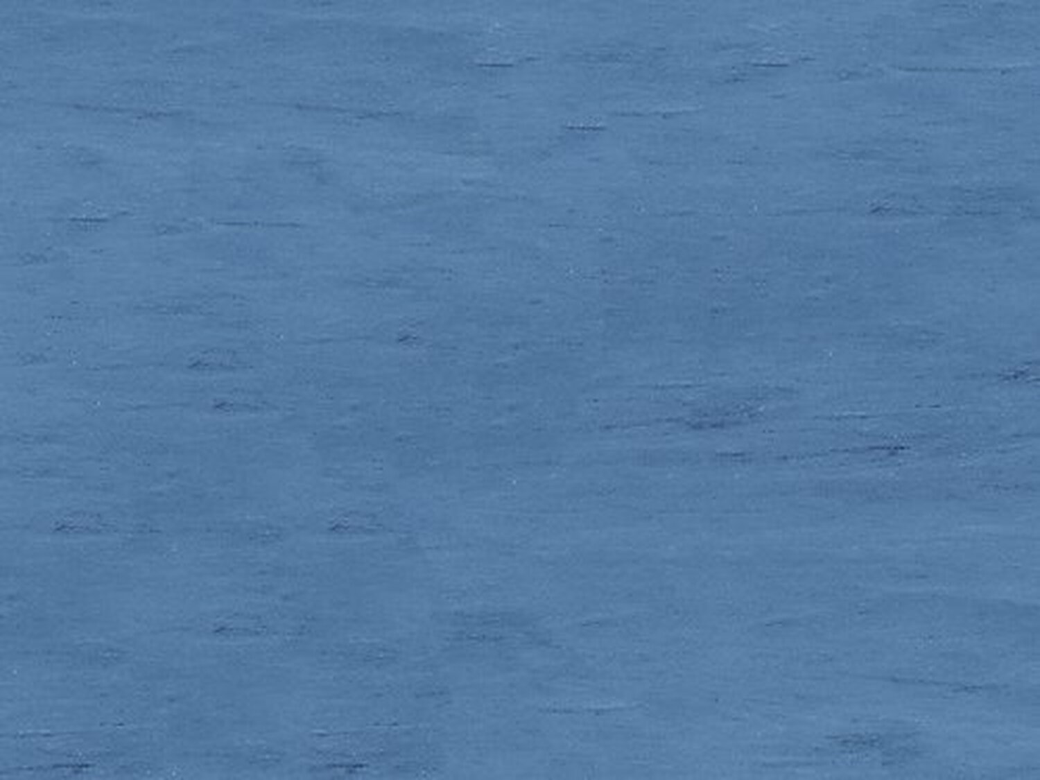 2064 ROYAL BLUE