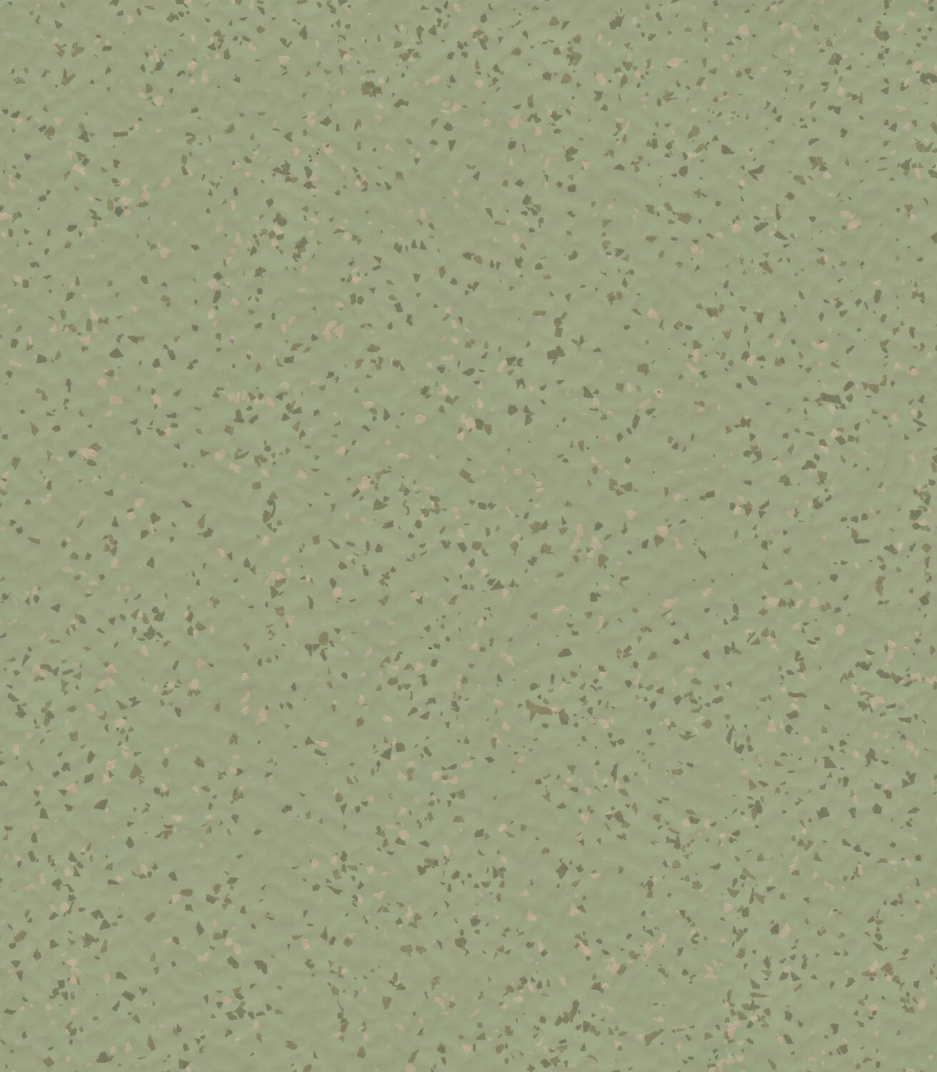 0009 OLIVE
