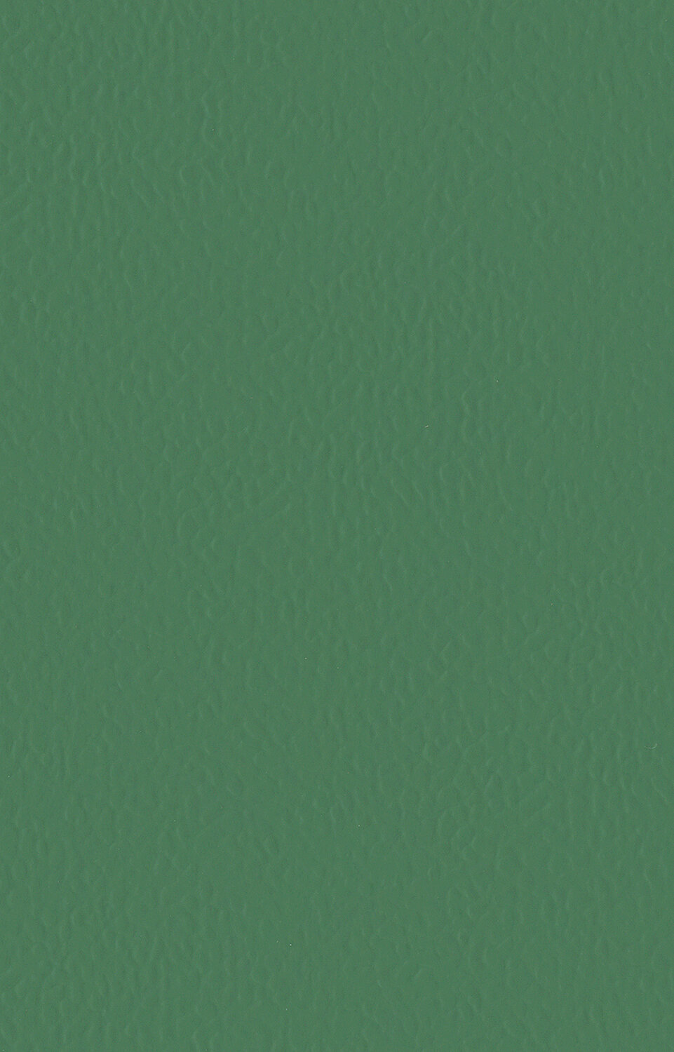 6556 VERDE